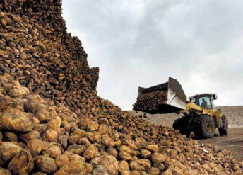 Untitled design - 2020-06-09T115039.377